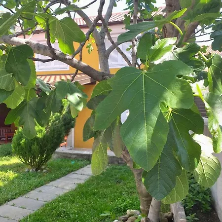 Vacation House Bianca Holiday home *